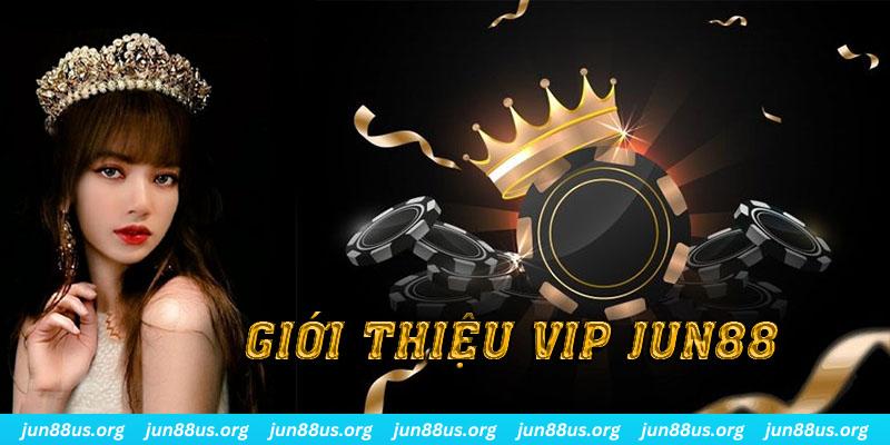 qqlive slot out là gì