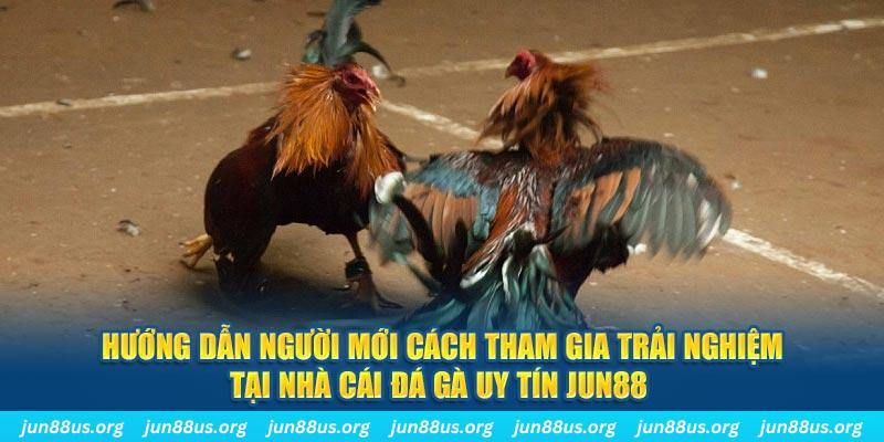 qqlive CQ9 Điện Tử