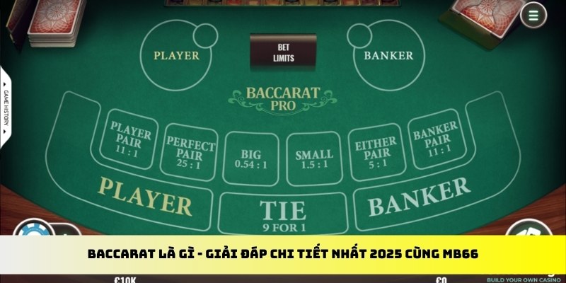 qqlive gà chọi cu cần