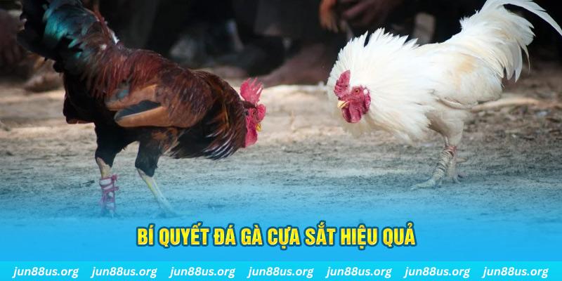 qqlive xin 1 slot là gì