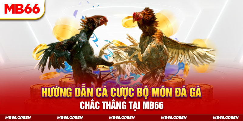 qqlive bắn cá nổ hũ