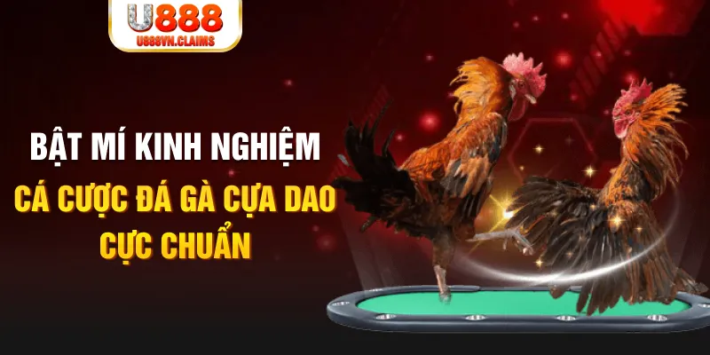 qqlive tỷ lệ cá cược châu á là gì