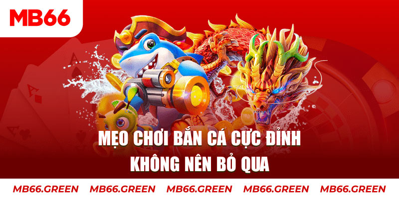 qqlive xổ số miền bắc