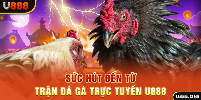 qqlive nổ hũ b29 là gì
