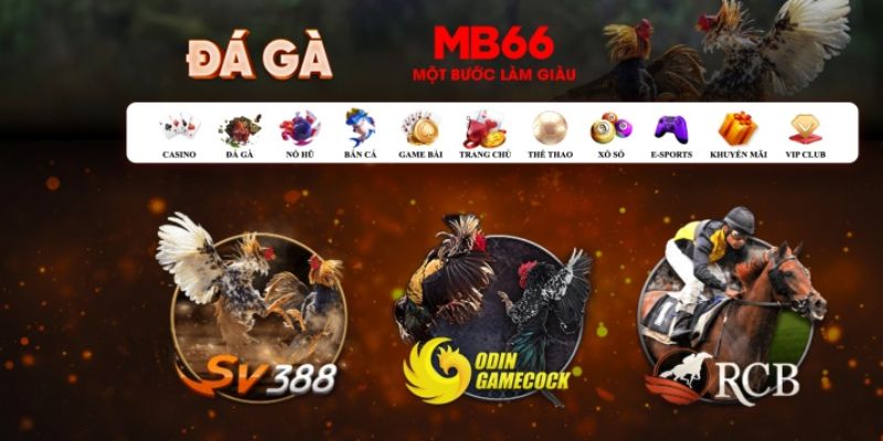 qqlive đăng nhập poker số 1