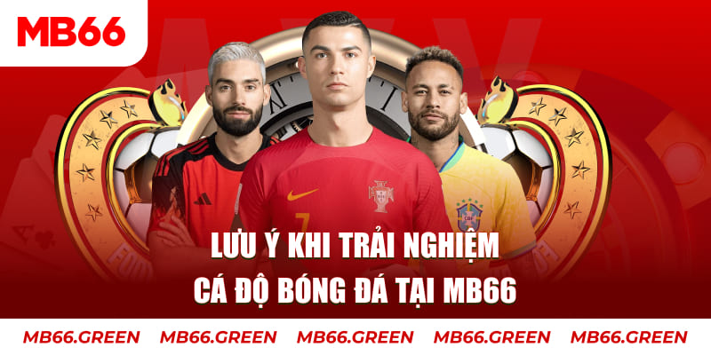 qqlive cá cược là gì