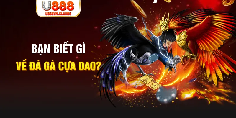 qqlive nổ hủ là gì
