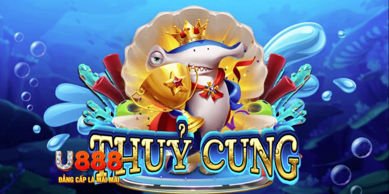 qqlive trực tiếp đá gà c1 hôm nay