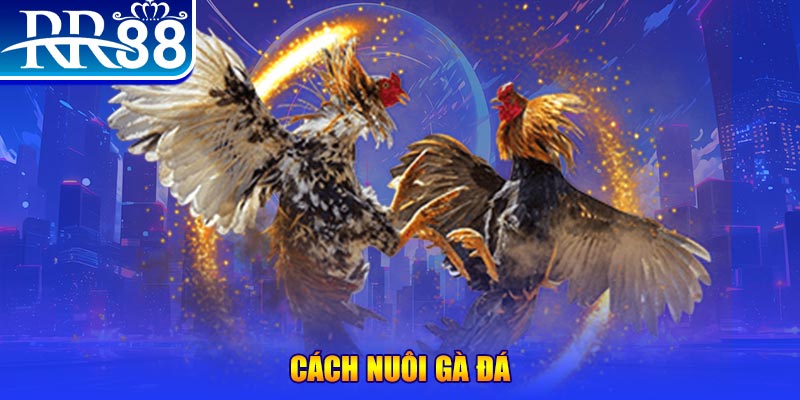qqlive xổ số an giang