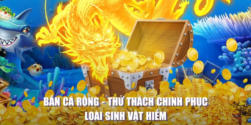 qqlive máy slot game là loại trò chơi gì？