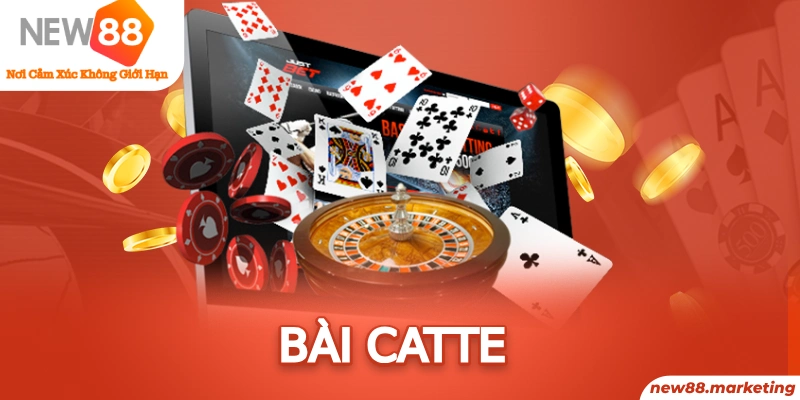 qqlive gà chọi