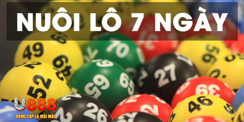 qqlive slot là j