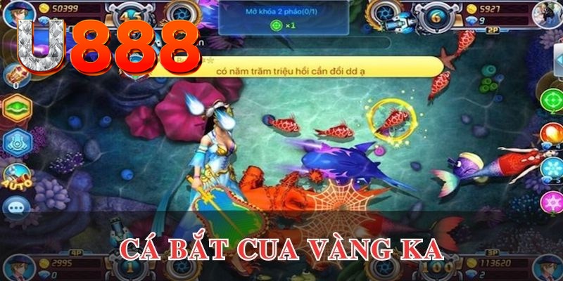 qqlive kết quả xổ số hôm nay