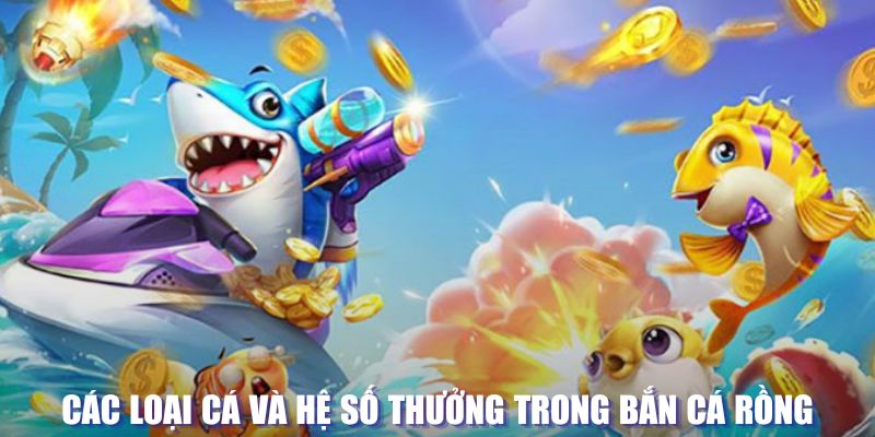 qqlive đăng nhập sòng bạc mới nhất