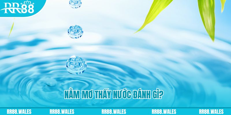 qqlive TP Bắn cá