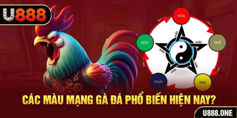 qqlive trực tiếp đá gà 88