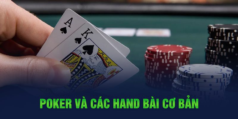 qqlive MG Trực Tuyến