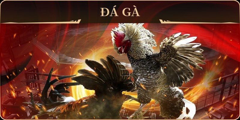qqlive xổ số miền nam thứ hai