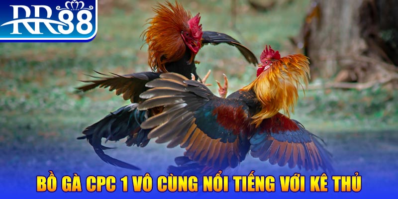 qqlive game máy bay nổ hũ