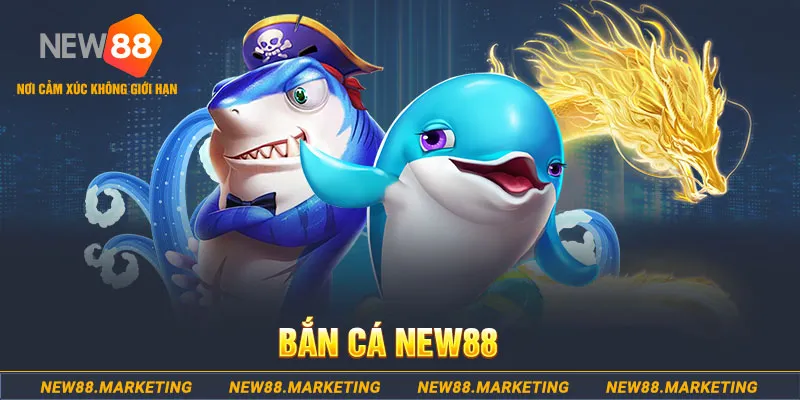 qqlive ban ca xeng 2