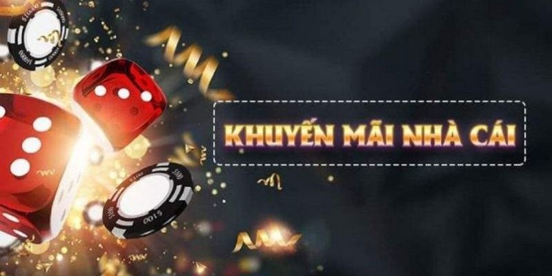 qqlive what is live dealer casino
