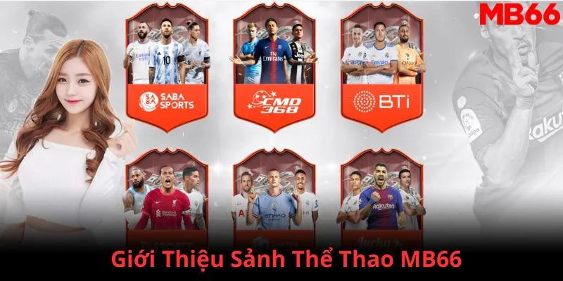 qqlive đăng nhập phỏm 2024