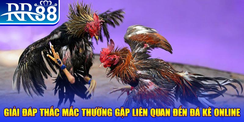 qqlive slot machine là gì