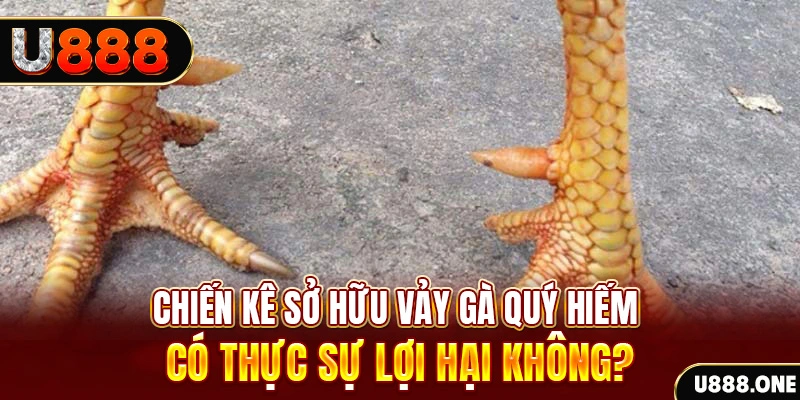 qqlive nohu .mx nổ hủ là gì