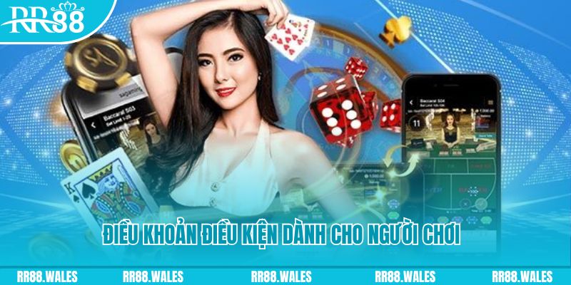 qqlive casino gồm những gì