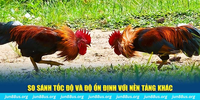 qqlive đá gà hôm nay