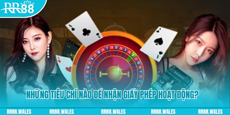qqlive hơn cả bạn bè