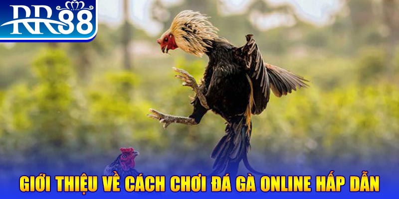 qqlive game nổ hũ rút tiền mặt là gì