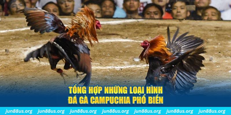qqlive đăng nhập nổ hũ 2024