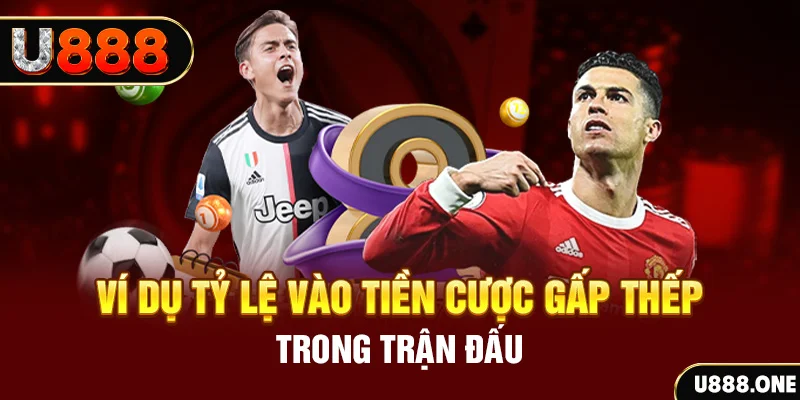 qqlive kết quả xổ số 30 ngày