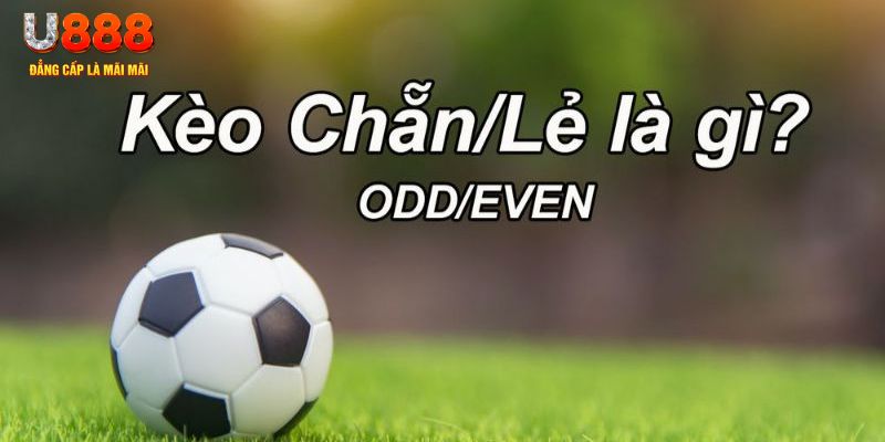 qqlive đăng nhập poker hôm nay
