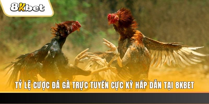 qqlive đăng nhập phỏm trực tiếp