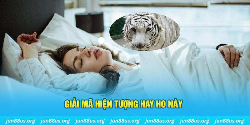 qqlive đăng nhập nổ hũ uy tín