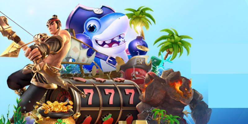 qqlive chọi gà
