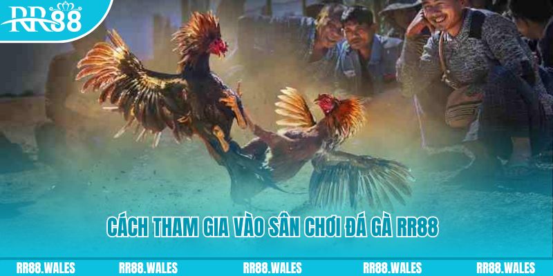 qqlive chơi nổ hũ kiêng kỵ gì