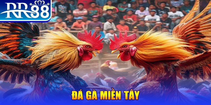 qqlive đăng nhập nổ hũ