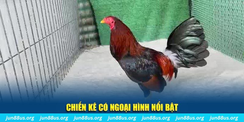 qqlive chạy quảng cáo cho game bài bị phạt như thế nào