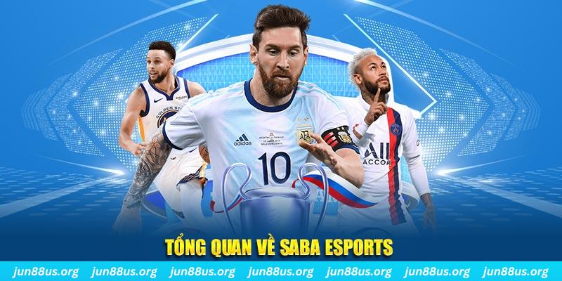 qqlive EvoPlay Điện Tử