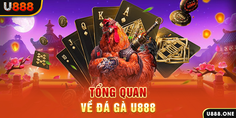 qqlive ILOVEU Điện Tử