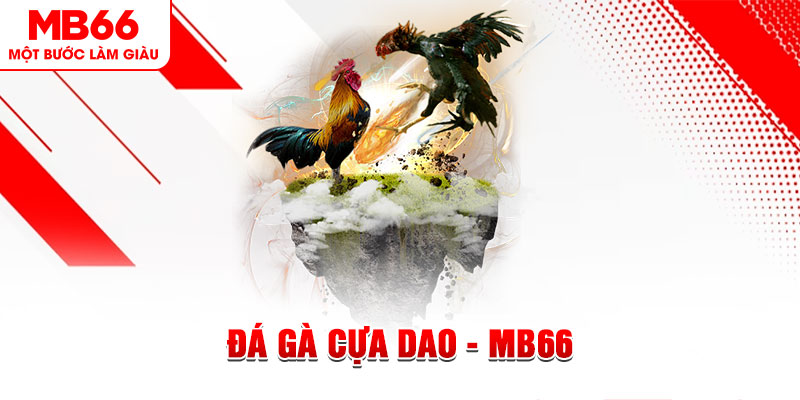 qqlive đá gà sv388 gold