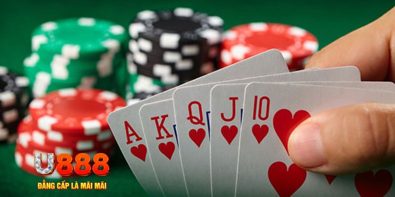 qqlive đá gà trực tiếp thomo 67