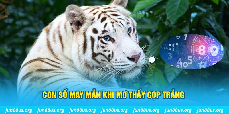 qqlive đá gà trực tiếp 88